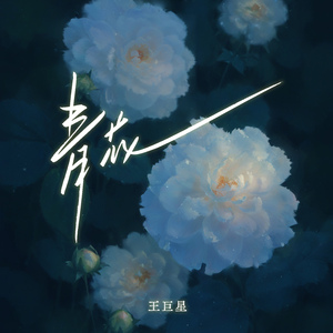 男士羞羞免费网站
